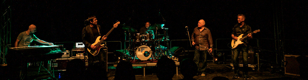 Nighthawks